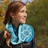 Honeycomb Conjecture Cowl