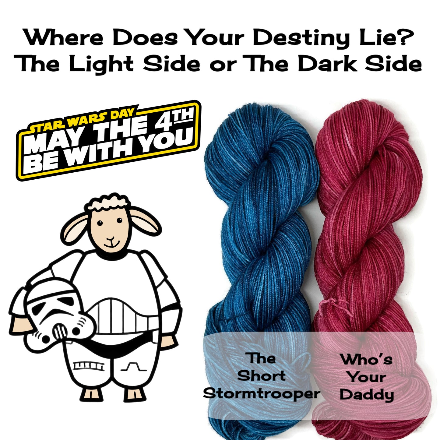Star Wars Day 2025