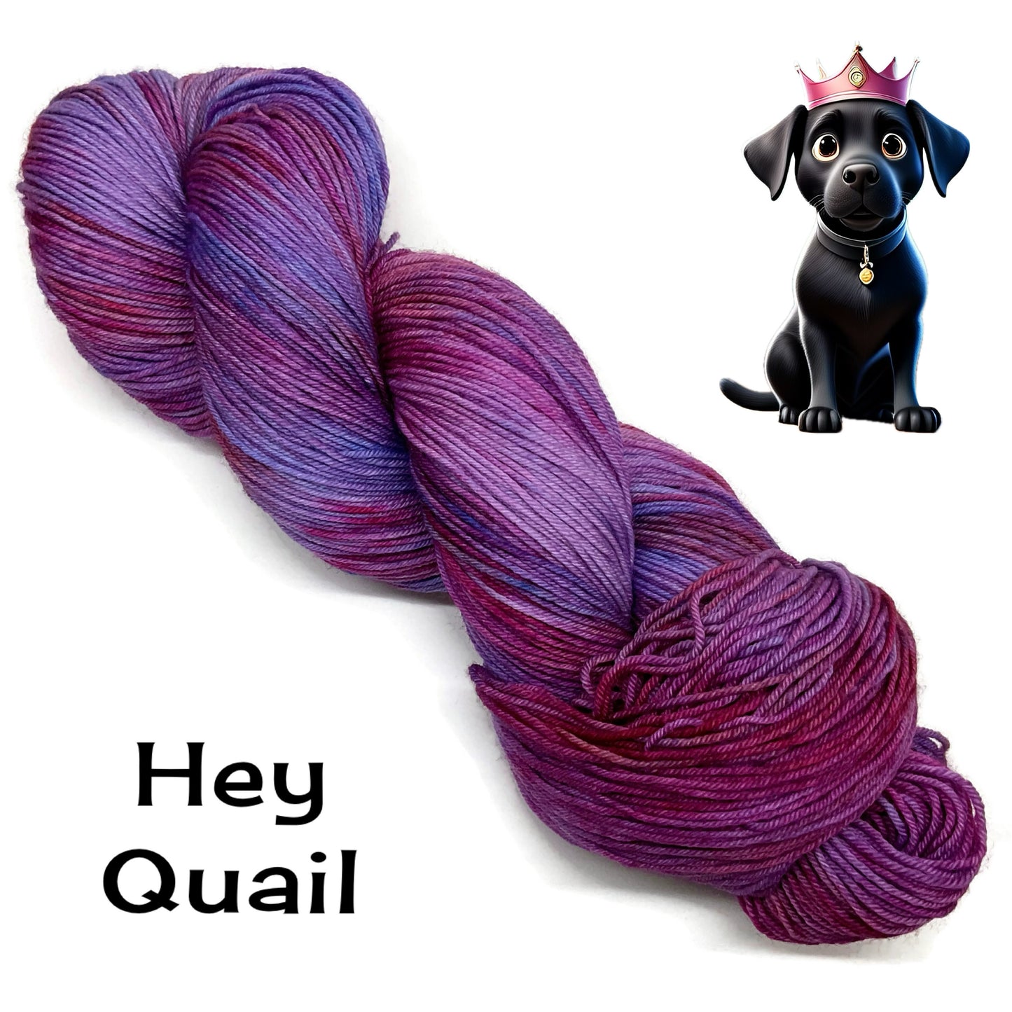 Quail's Sweet 16 Fundraiser - Hey Quail