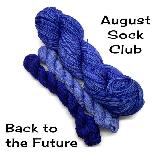 Back to the Future - August 2025 Sock Club