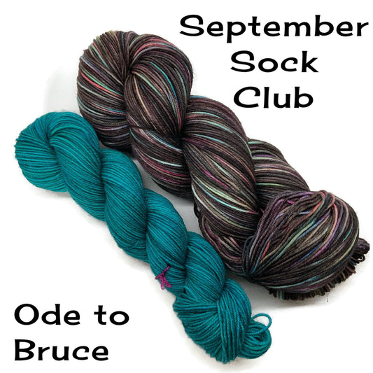 Ode to Bruce - September 2025 Sock Club