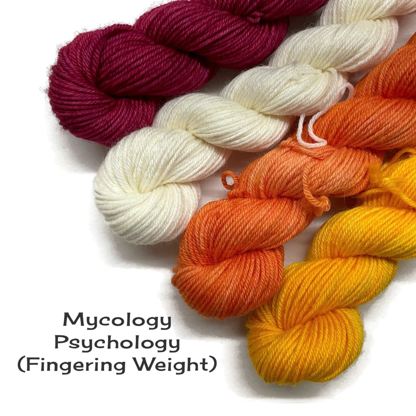 Professor Fungi Gnome MKAL 17 Set - Fingering Weight