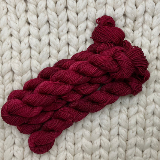 Sliding Doors Venti Practicality 75/25 Mini Skein