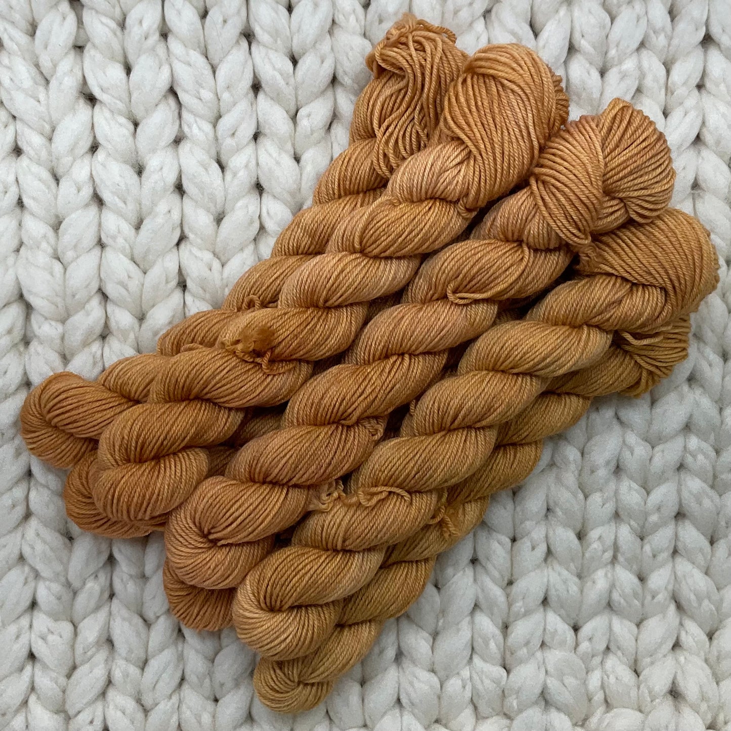 Protect the Pollinators Venti Practicality 75/25 Mini Skein