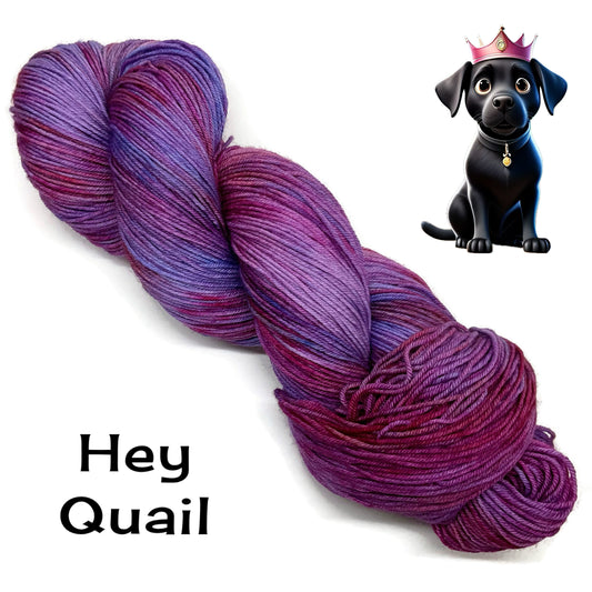 Quail's Sweet 16 Fundraiser - Hey Quail