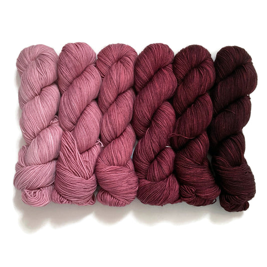 Ewenique Bricked Gradient Set 6 full skeins of Scrumptious HT