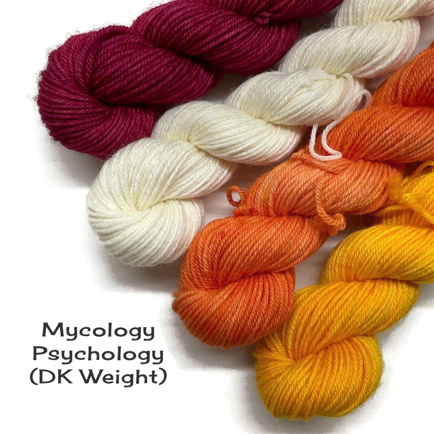 Professor Fungi Gnome MKAL 17 Set - DK Weight