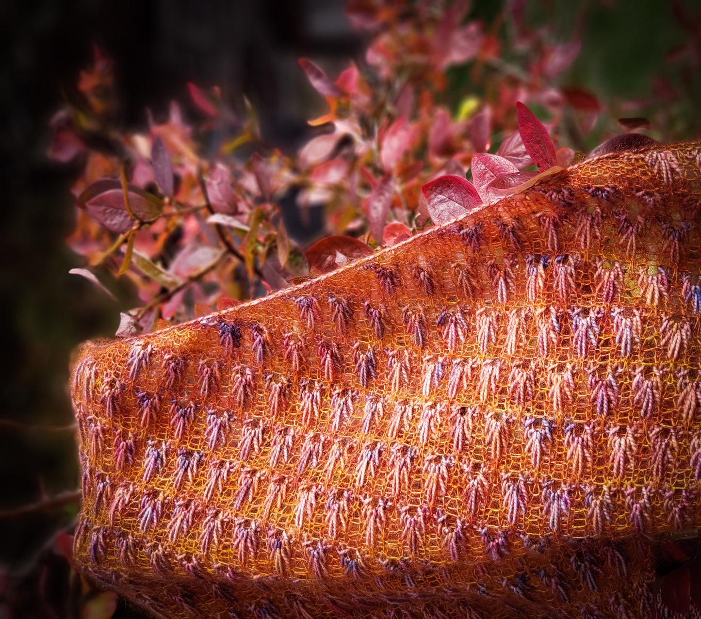 Beneath an Autumn Sky Shawl