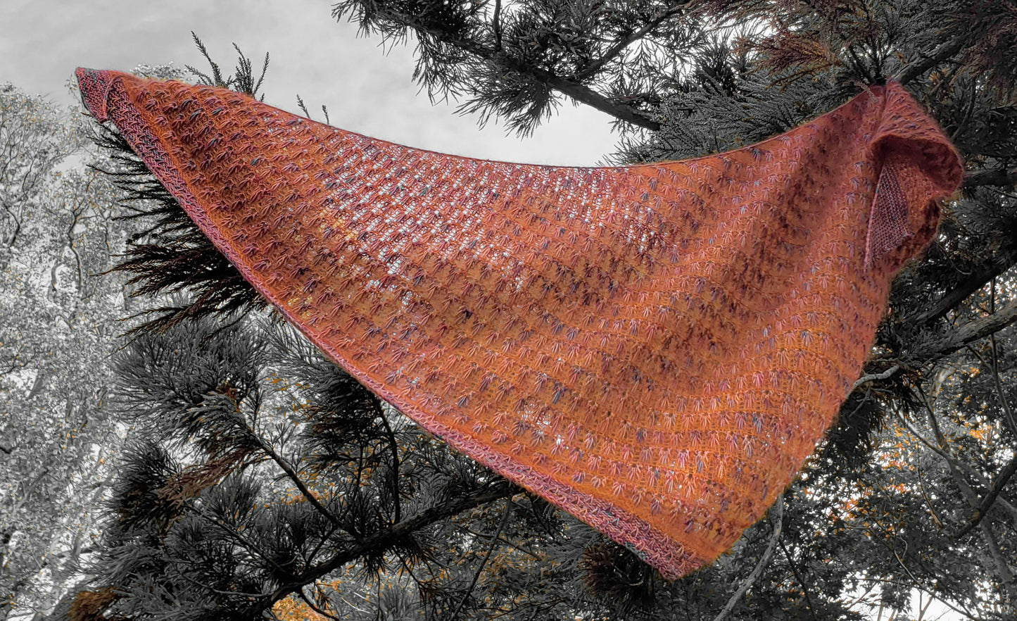 Beneath an Autumn Sky Shawl